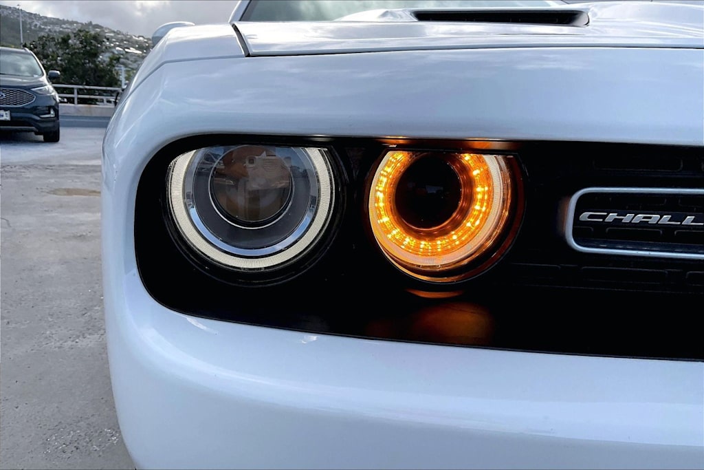 Thumbnail: 2019 Dodge Challenger - 30