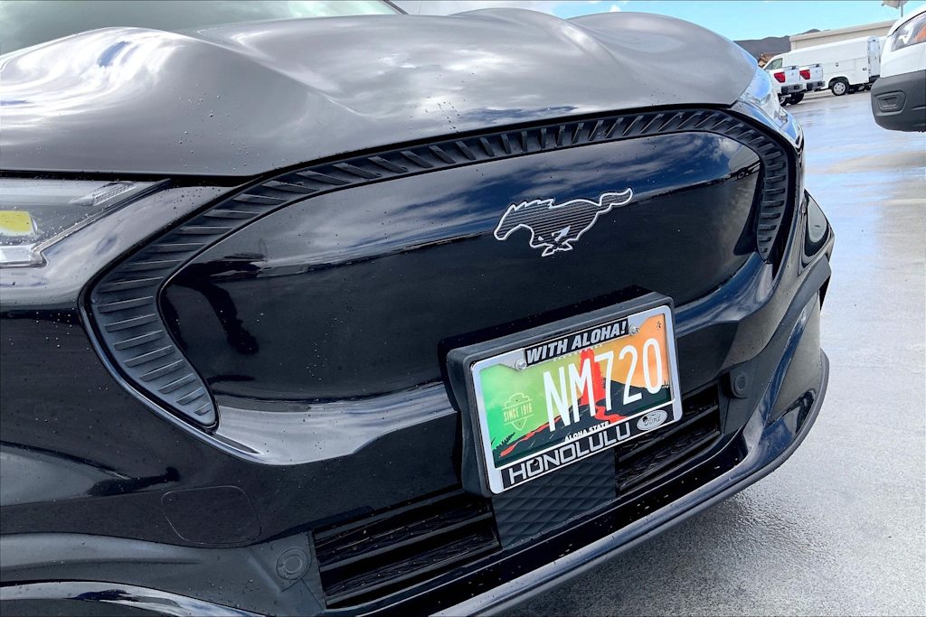Thumbnail: 2021 Ford Mustang Mach-E - 32