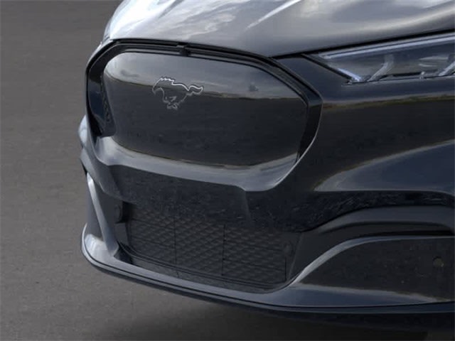 2023 Ford Mustang Mach-E Premium 18