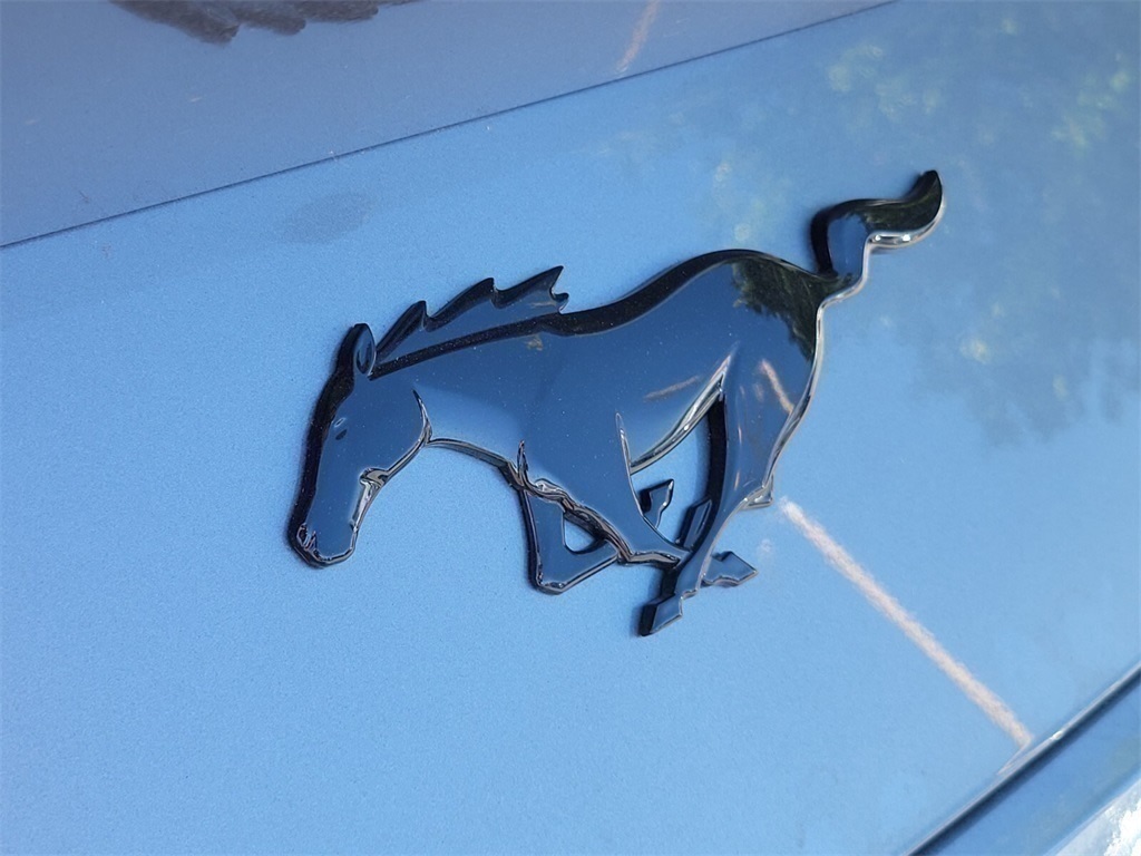 Thumbnail: 2025 Ford Mustang - 14