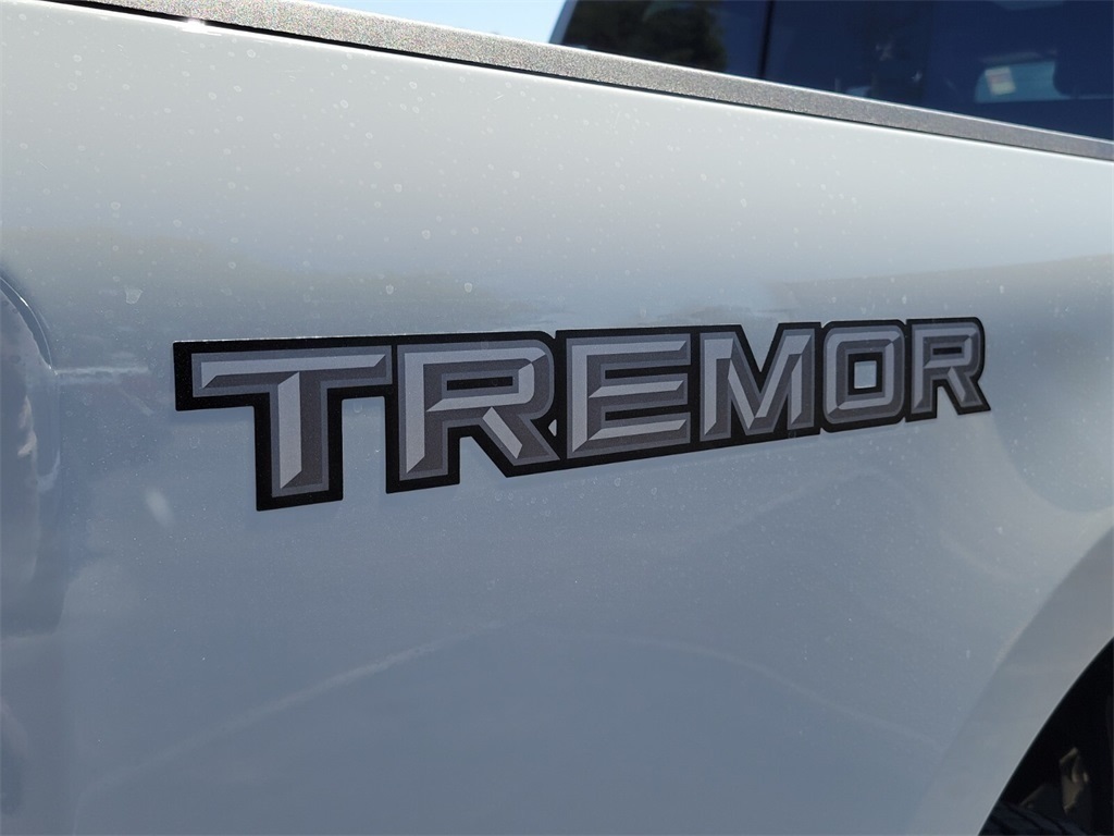 Thumbnail: 2025 Ford F-250 - 7