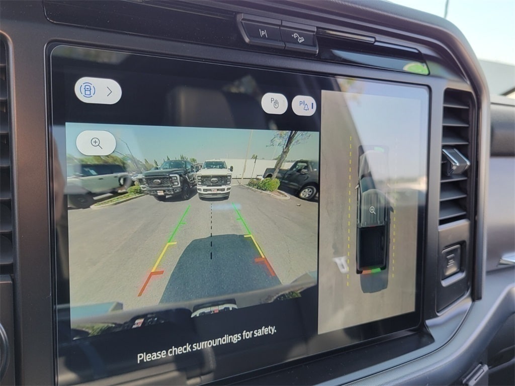 2025 Ford F-150 Platinum 23