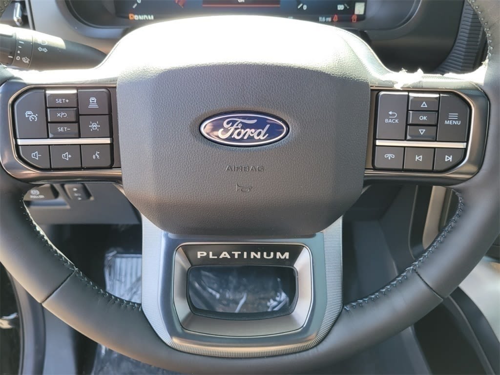 2025 Ford F-150 Platinum 21