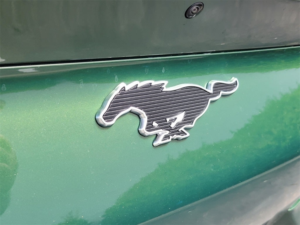 Thumbnail: 2025 Ford Mustang Mach-E - 6
