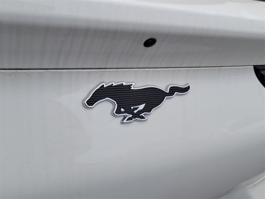 Thumbnail: 2025 Ford Mustang Mach-E - 7