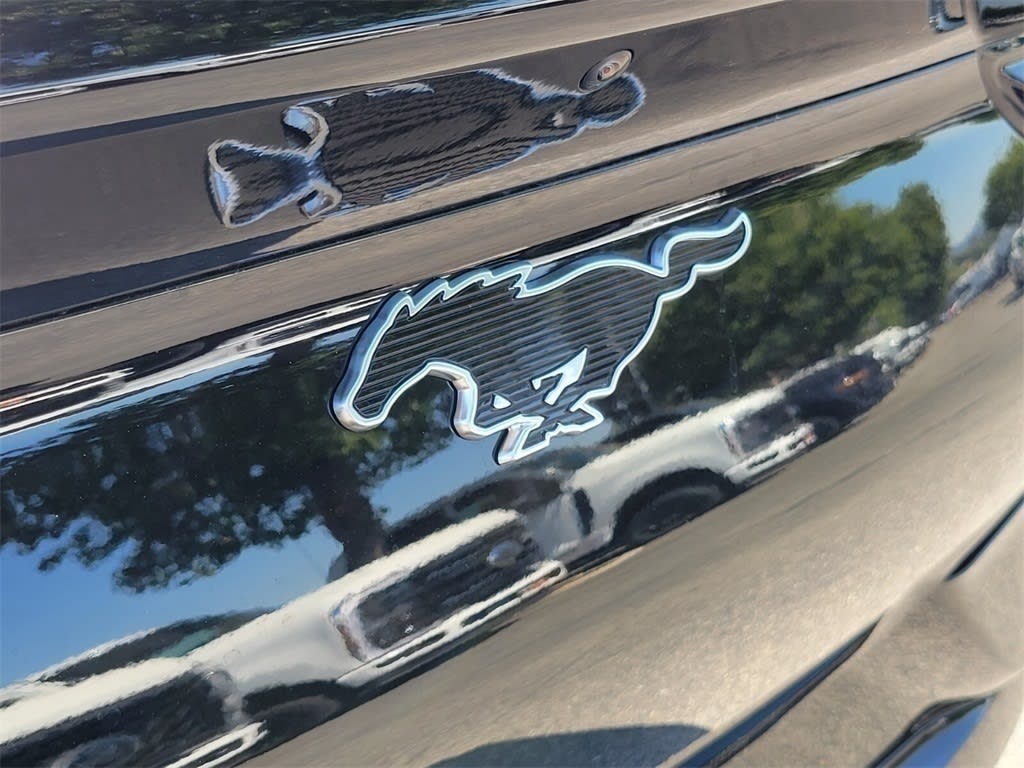 Thumbnail: 2025 Ford Mustang Mach-E - 6