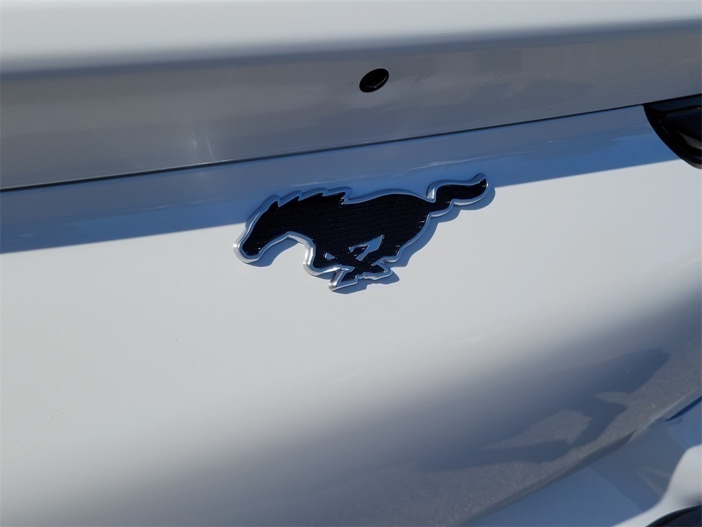 Thumbnail: 2025 Ford Mustang Mach-E - 7