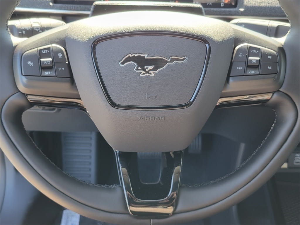 Thumbnail: 2025 Ford Mustang Mach-E - 19