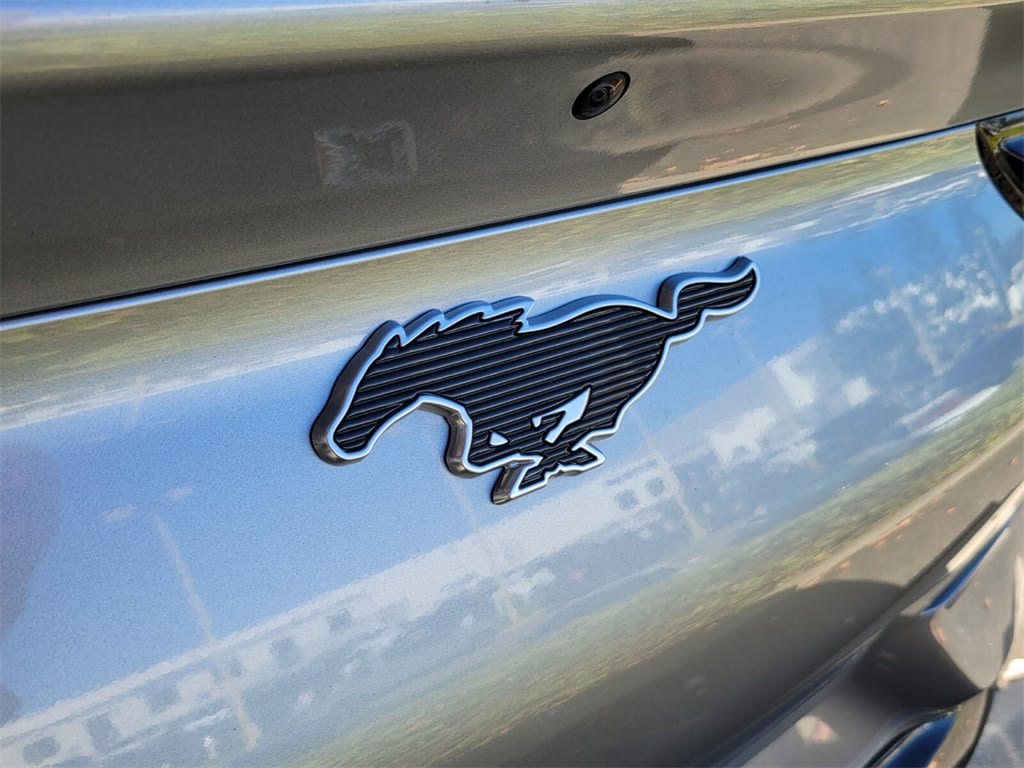 Thumbnail: 2021 Ford Mustang Mach-E - 7