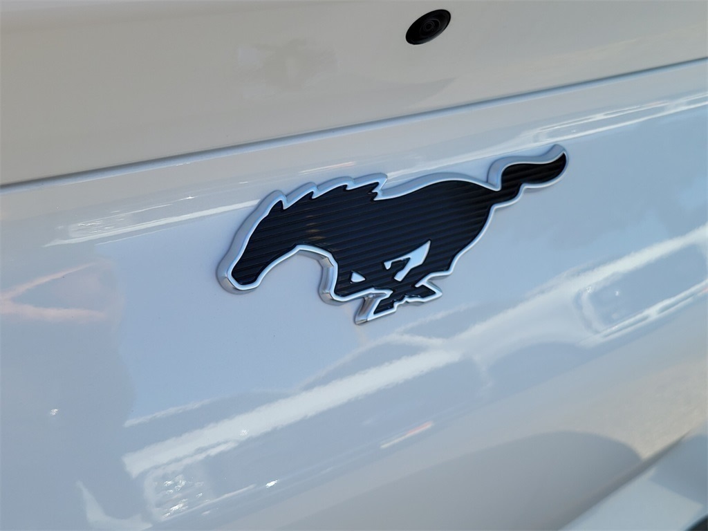 Thumbnail: 2025 Ford Mustang Mach-E - 7