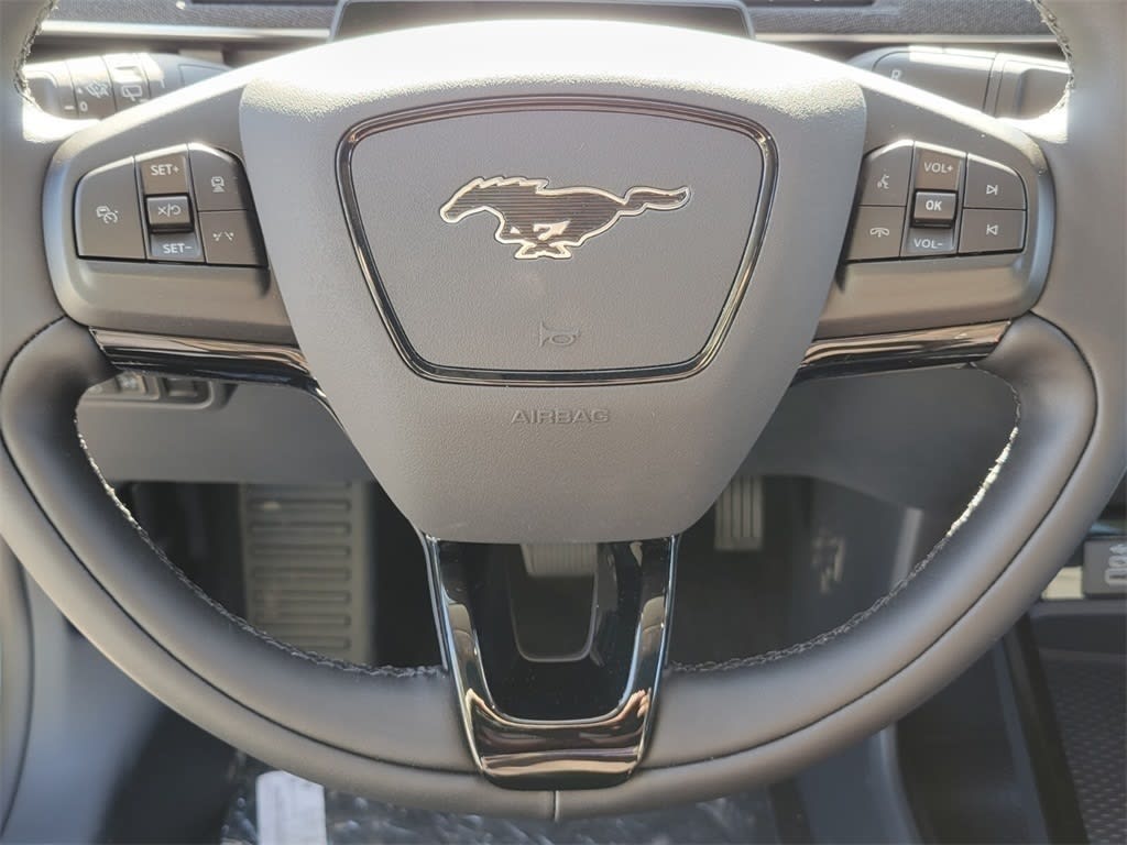 Thumbnail: 2025 Ford Mustang Mach-E - 19