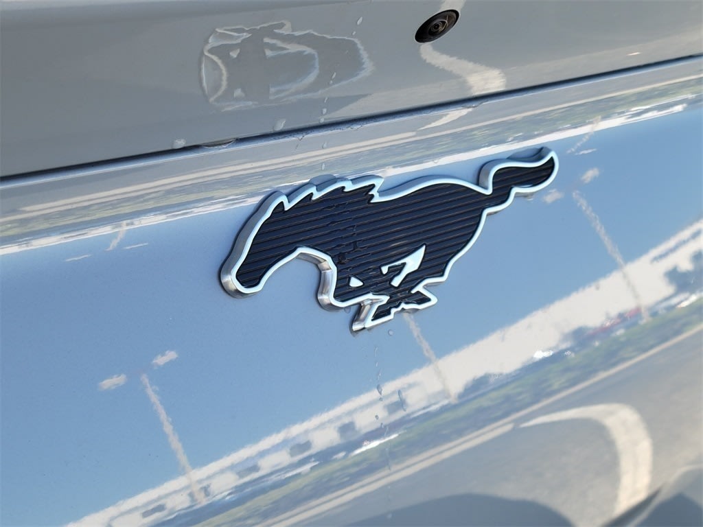 Thumbnail: 2025 Ford Mustang Mach-E - 6