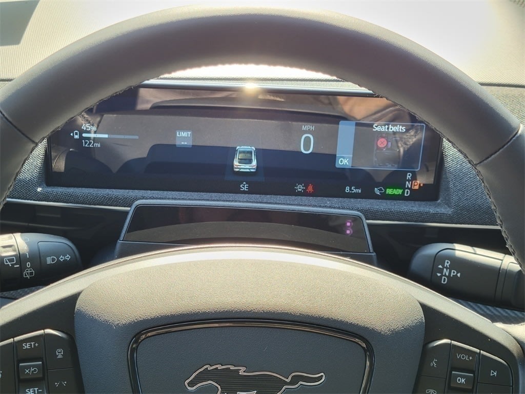 Thumbnail: 2025 Ford Mustang Mach-E - 12