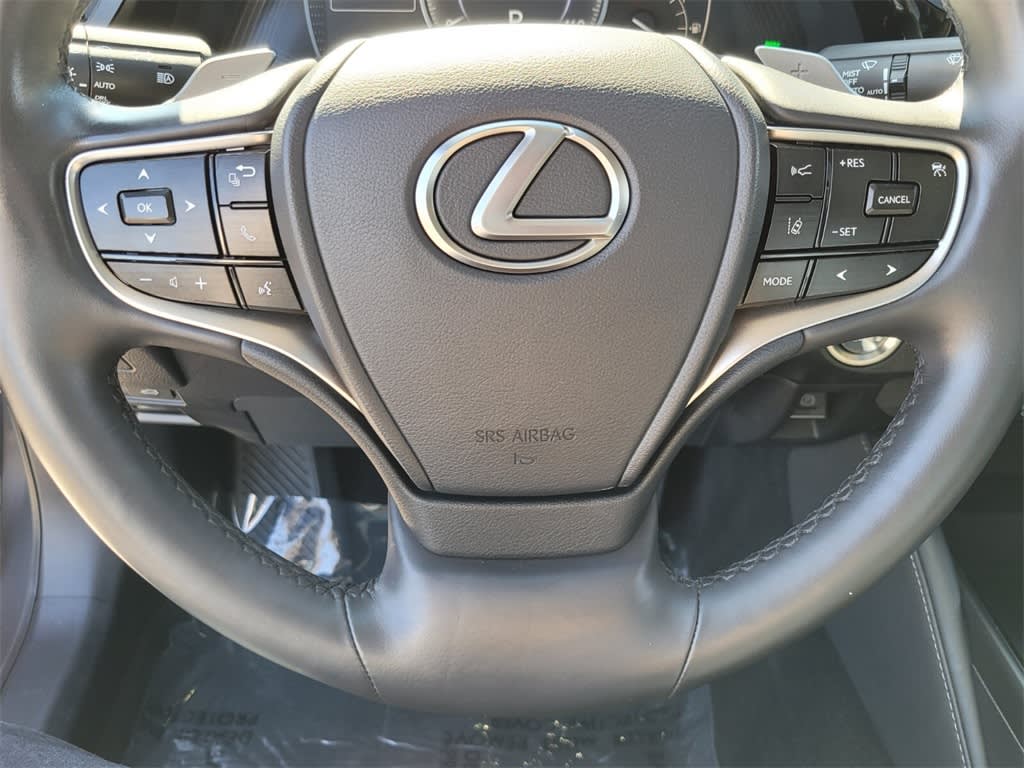 2023 Lexus ES 250 22