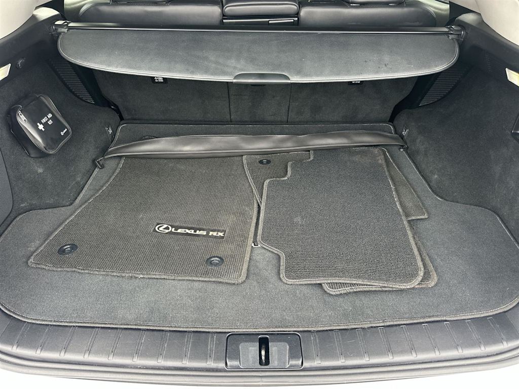 Thumbnail: 2021 Lexus RX - 19