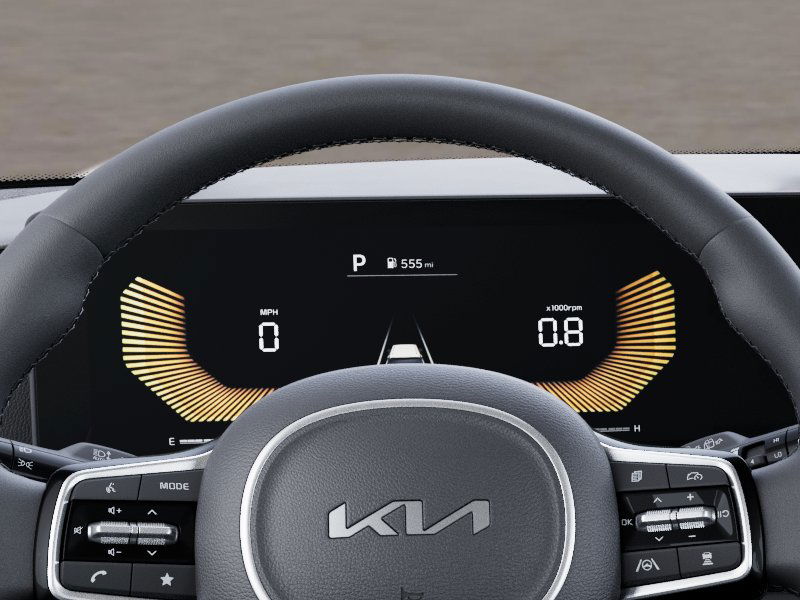 2025 Kia Carnival EX 21