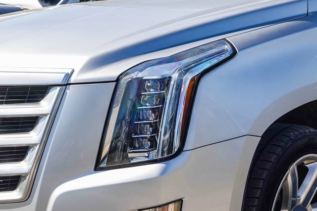 2020 Cadillac Escalade ESV Luxury 19