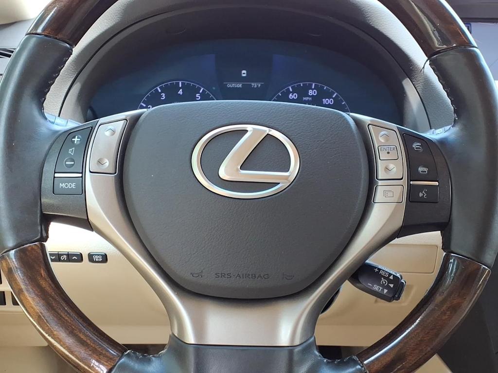 Thumbnail: 2013 Lexus RX - 19