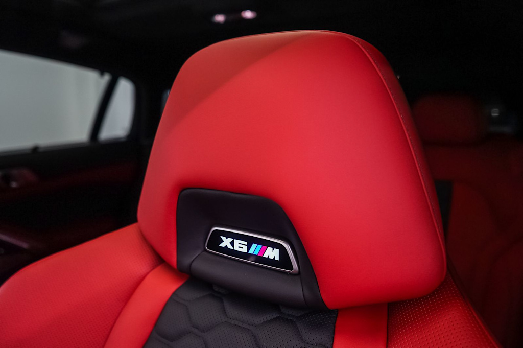 Thumbnail: 2025 BMW X6 - 19