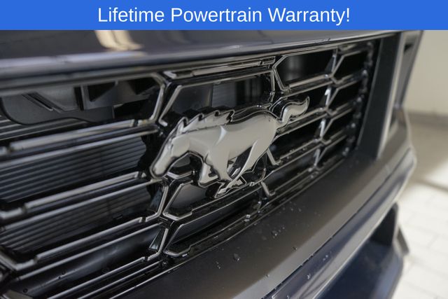 Thumbnail: 2025 Ford Mustang - 24