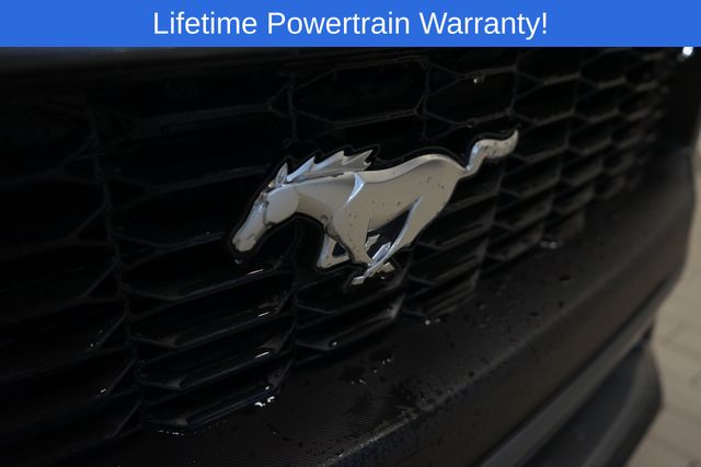 Thumbnail: 2026 Ford Mustang - 25