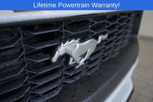 Thumbnail: 2025 Ford Mustang - 27