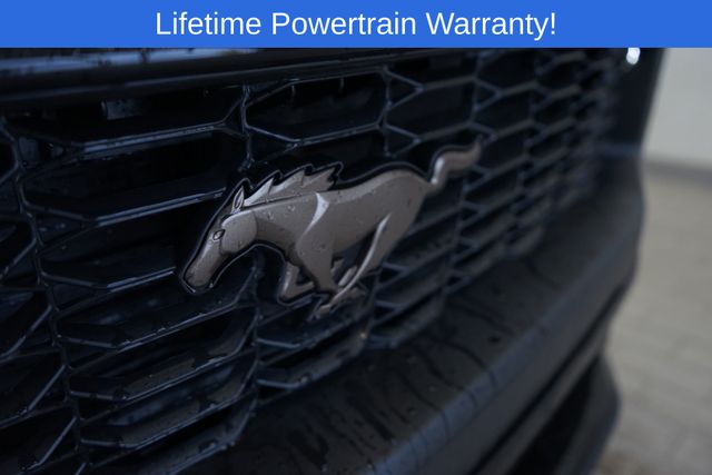Thumbnail: 2026 Ford Mustang - 28