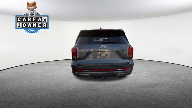 Thumbnail: 2025 Hyundai Palisade - 19