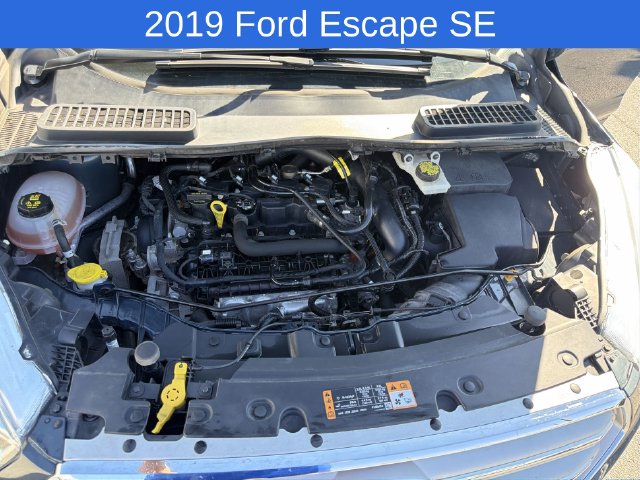 Thumbnail: 2019 Ford Escape - 9