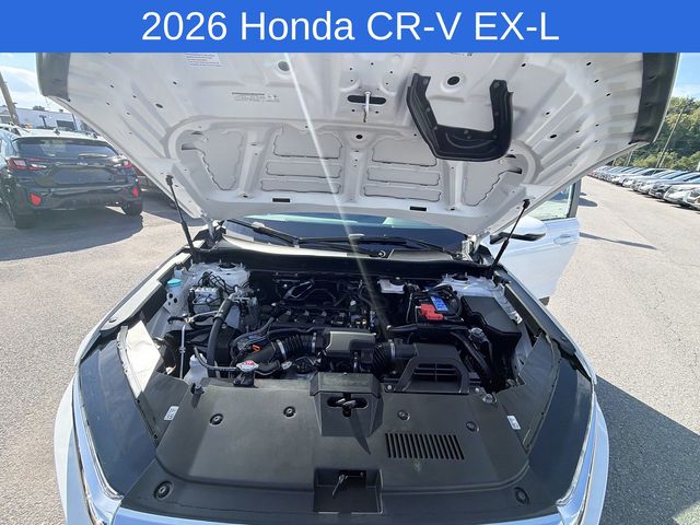 Thumbnail: 2026 Honda CR-V - 8