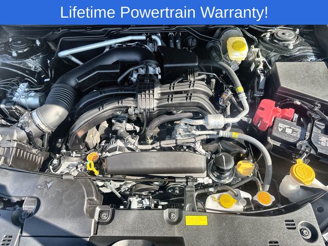 Thumbnail: 2025 Subaru Crosstrek - 8