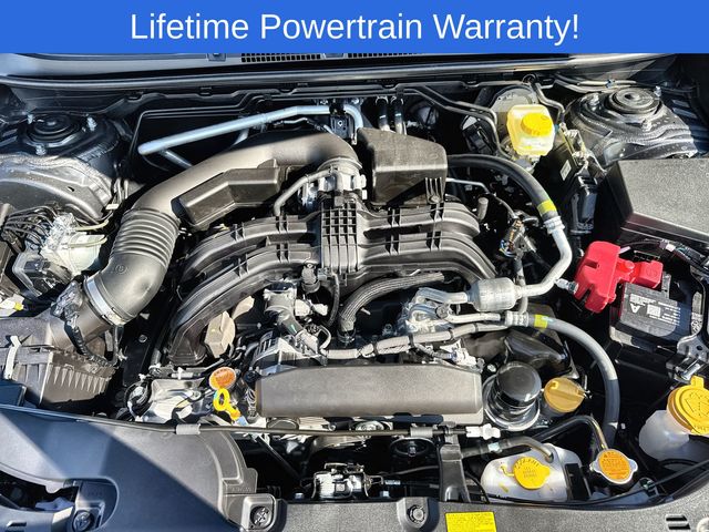 Thumbnail: 2025 Subaru Crosstrek - 9