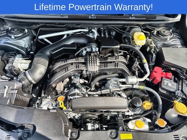 Thumbnail: 2025 Subaru Crosstrek - 9