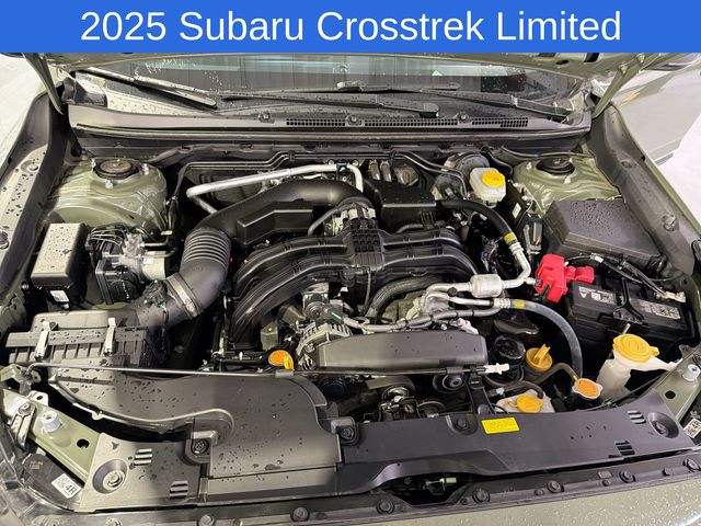 Thumbnail: 2025 Subaru Crosstrek - 8