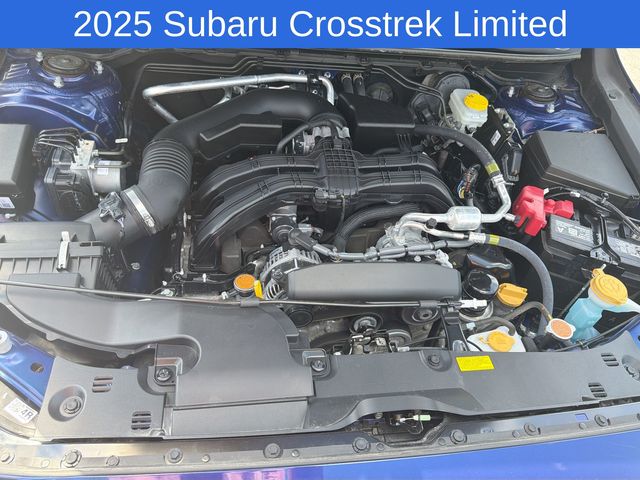Thumbnail: 2025 Subaru Crosstrek - 9