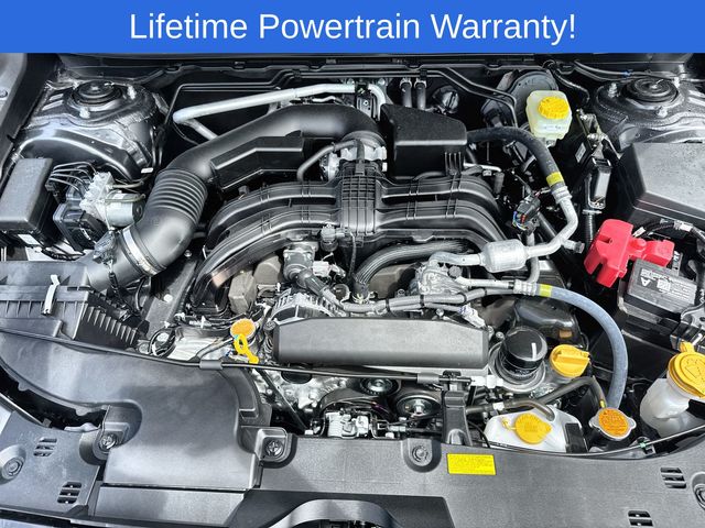 Thumbnail: 2025 Subaru Crosstrek - 9