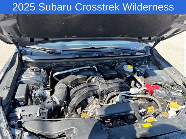 Thumbnail: 2025 Subaru Crosstrek - 8