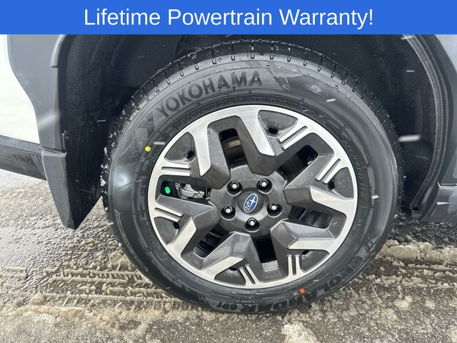 Thumbnail: 2026 Subaru Forester - 8