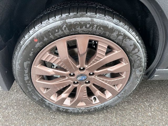 Thumbnail: 2026 Subaru Forester - 7