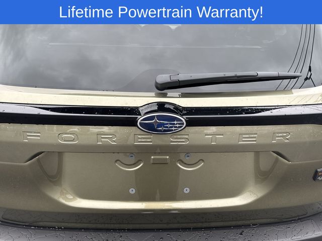 Thumbnail: 2026 Subaru Forester - 7