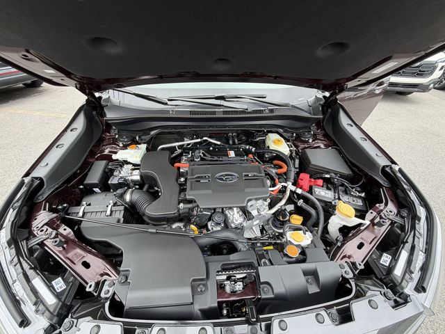 Thumbnail: 2026 Subaru Forester - 8