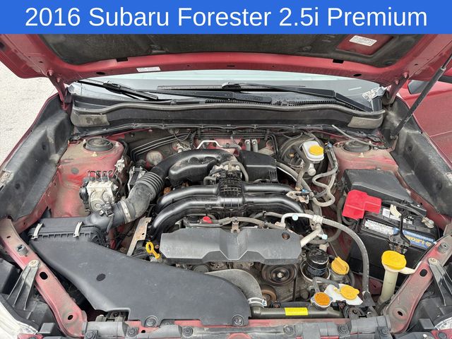 Thumbnail: 2016 Subaru Forester - 8