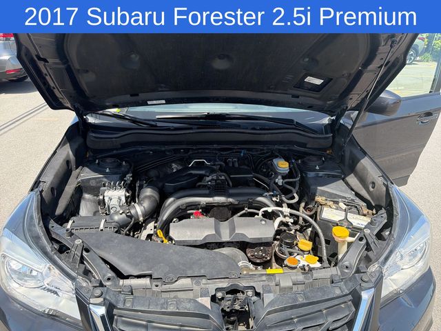 Thumbnail: 2017 Subaru Forester - 9