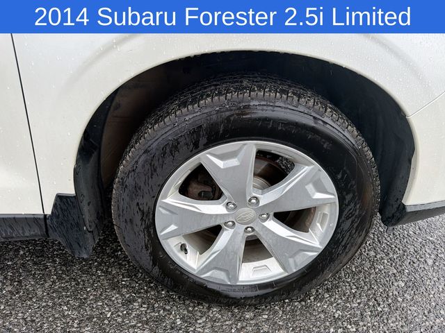 Thumbnail: 2014 Subaru Forester - 7