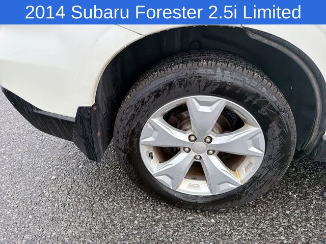 Thumbnail: 2014 Subaru Forester - 19