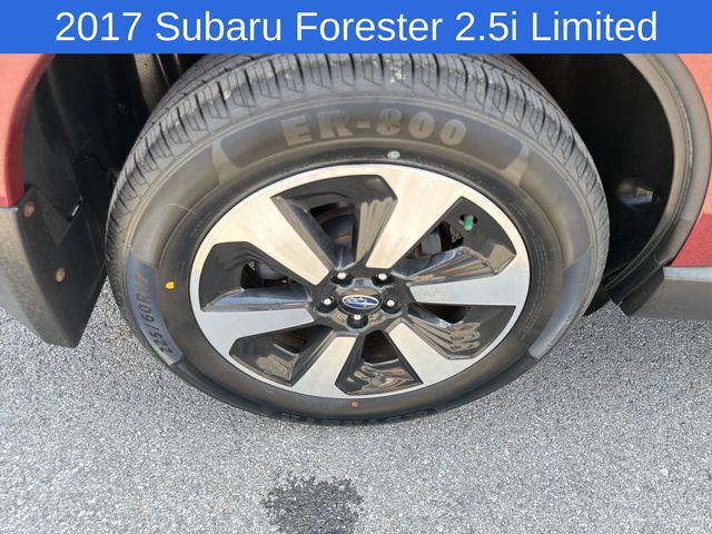 Thumbnail: 2017 Subaru Forester - 8