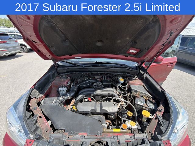 Thumbnail: 2017 Subaru Forester - 9