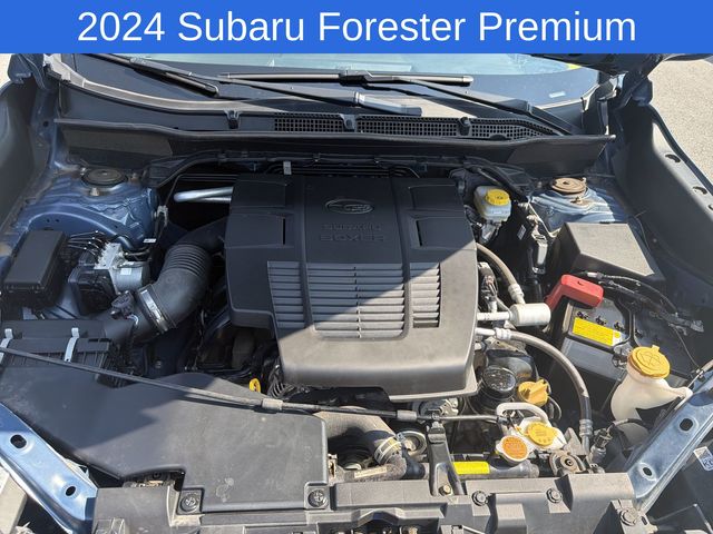 Thumbnail: 2024 Subaru Forester - 9