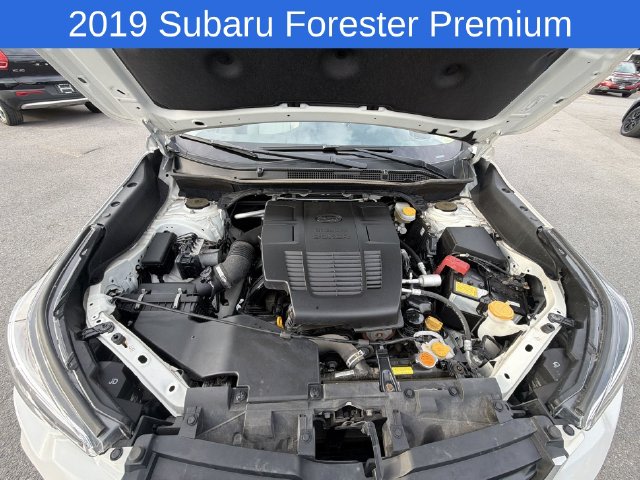 Thumbnail: 2019 Subaru Forester - 8
