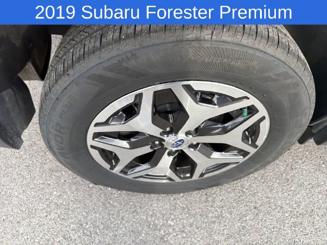 Thumbnail: 2019 Subaru Forester - 7